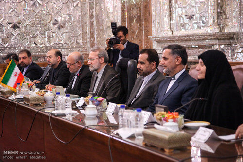 تصاویر دیدار کیتاروویچ با لاریجانی