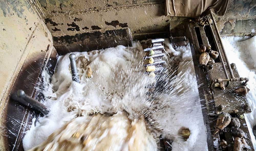 چغندر اینگونه شکر می‌شود/تصاویر