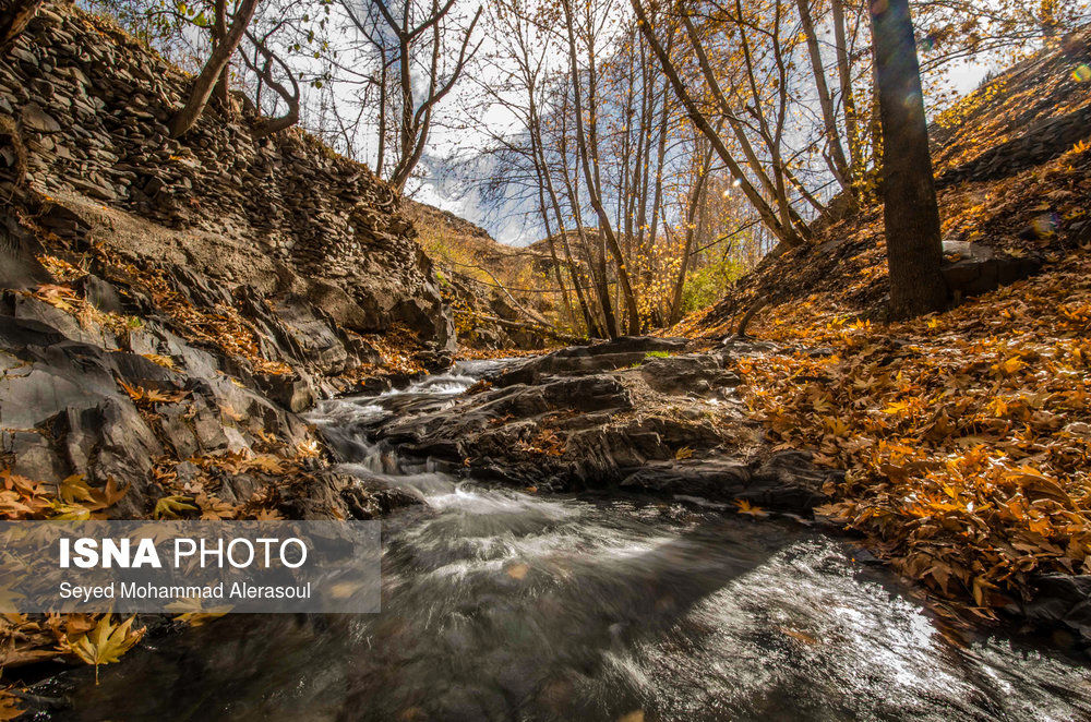 طبیعت پاییزی شاندیز - مشهد/تصاویر