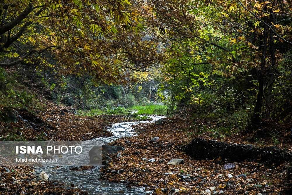طبیعت پاییزی جنگل‌های ارسباران