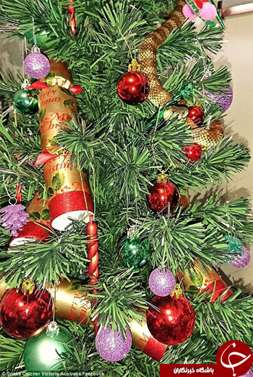 هدیه مرگبار در درخت کریسم /عکس