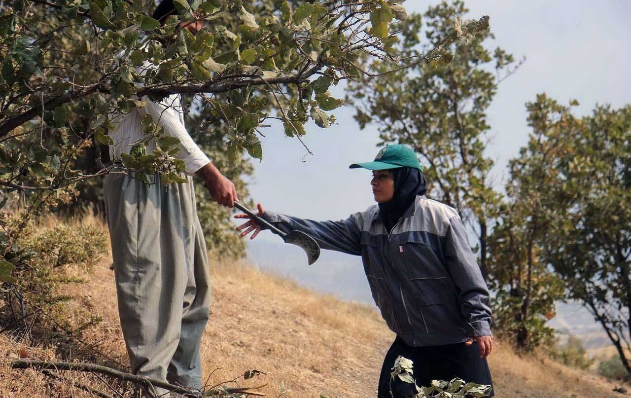 بانوی جنگلبان کردستان/تصاویر