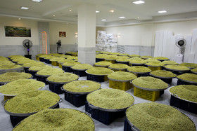 تصاویر آماده‌سازی غذای‌متبرک درحرم رضوی‎