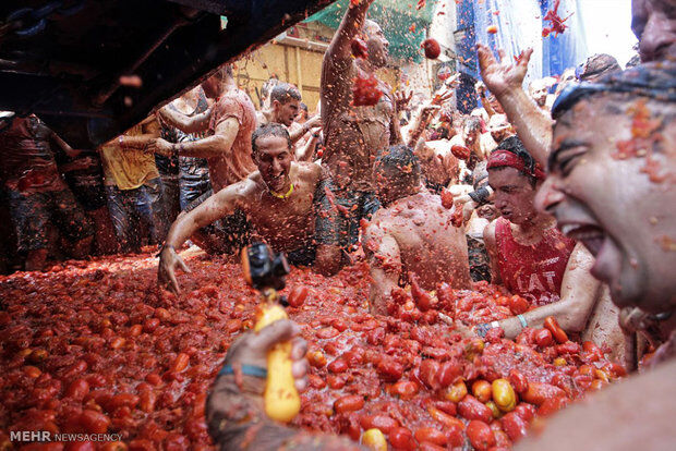 جشنواره جنگ گوجه فرنگی‎/تصاویر