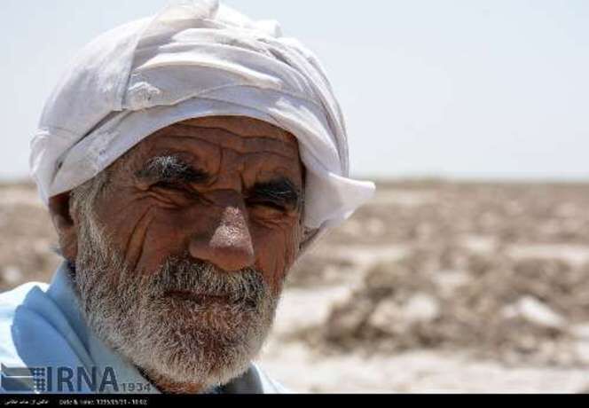 کشت خربزه درتالاب هامون