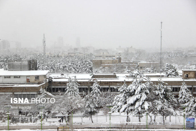 تصاویری از بارش شدید برف در مشهد و رشت