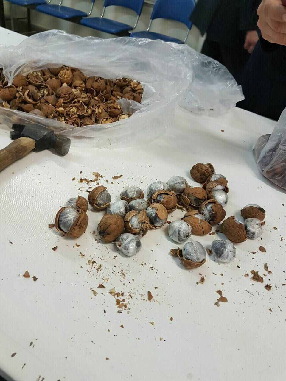 کشف تریاک جاسازی شده در گردو/عکس