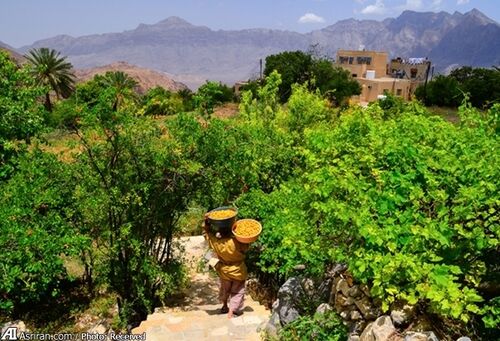 تکذیب روزه داری 3.5 ساعته در یک روستا