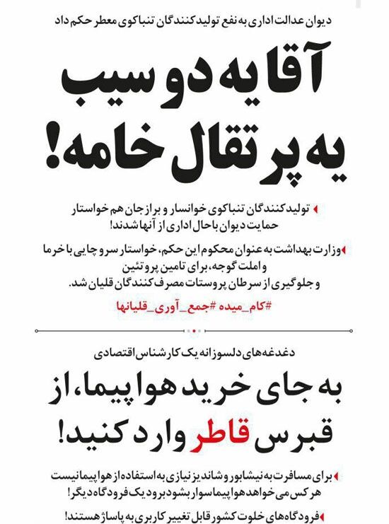 به جای خرید هواپیما، قاطر وارد کنید!
