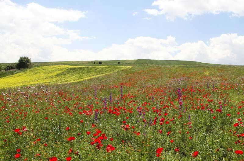 تصاویر طبیعت بهاری اردبیل