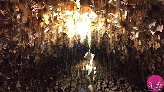 ماجرای تأسیس موزه‌ای عجیب در ترکیه