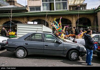شهر در چند قدمی بهار/تصاویر