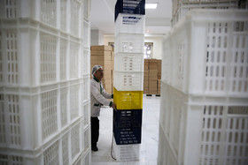 تصاویر آماده‌سازی غذای‌متبرک درحرم رضوی‎