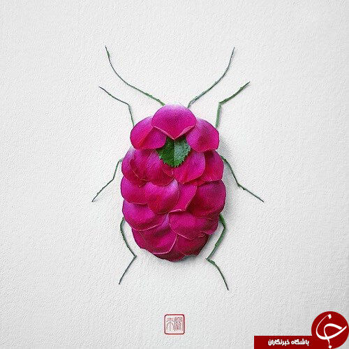 تصاویری از گل هایی که تبدیل به حشره شدند