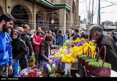 شهر در چند قدمی بهار/تصاویر