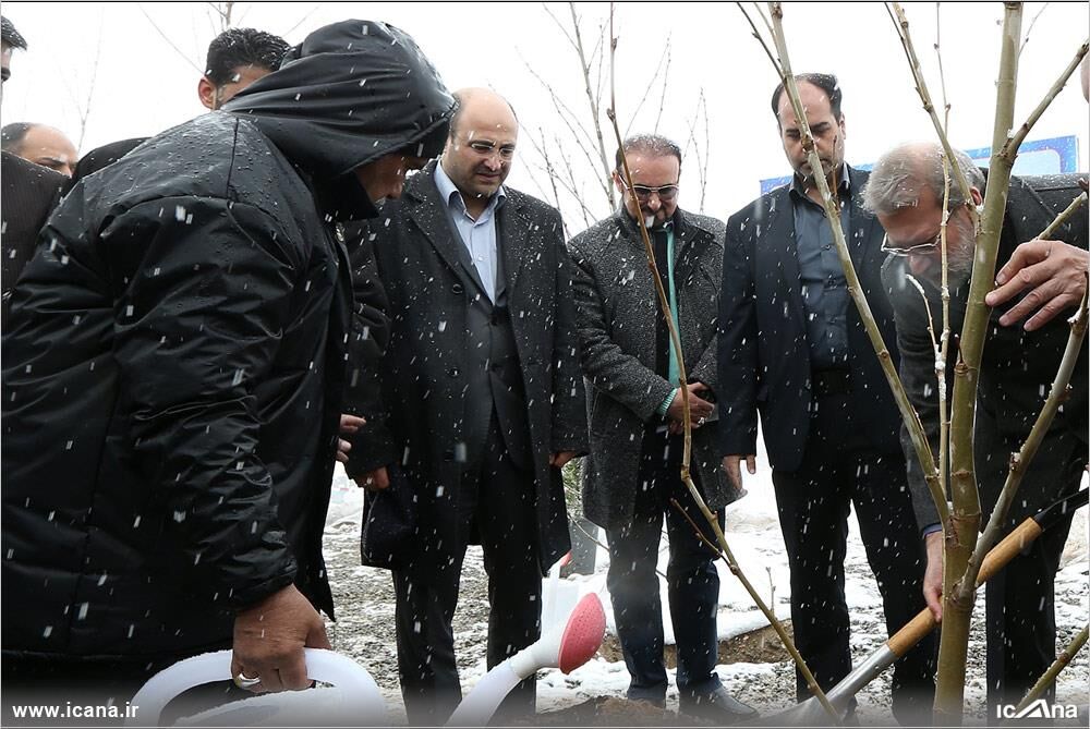 درختکاری لاریجانی/عکس