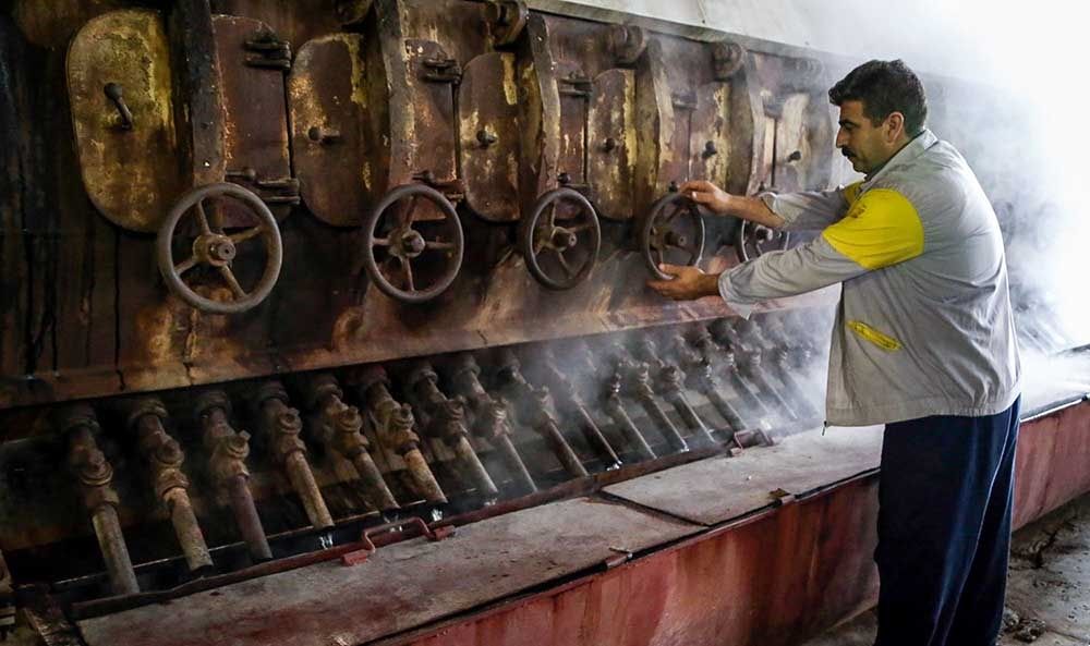 چغندر اینگونه شکر می‌شود/تصاویر