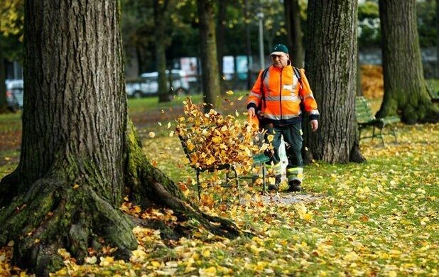 عکس/رنگ های پاییز