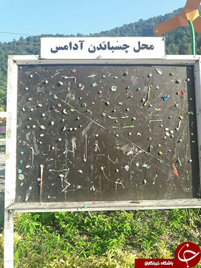محل چسباندن آدامس در مازندران/عکس