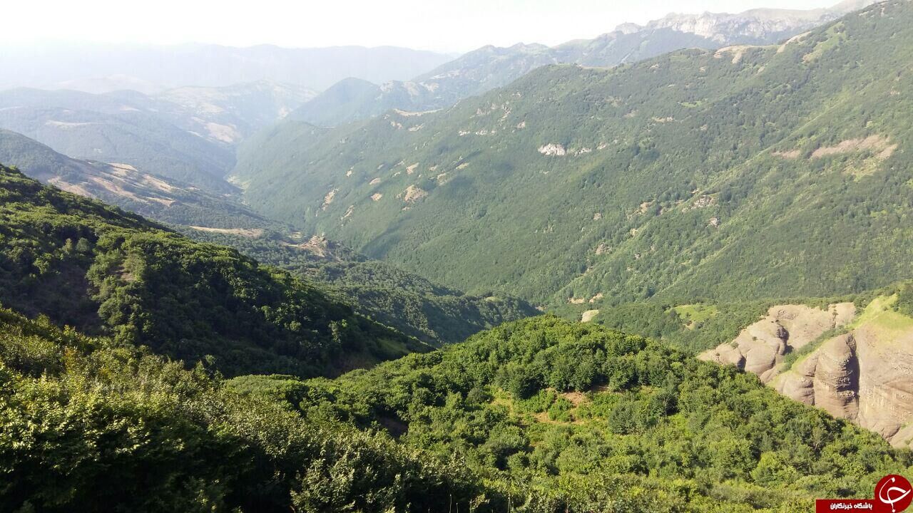 چشم اندازی دیدنی از ویلکیج/تصاویر