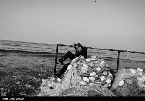 تصاویر دلنشین ماهیگیری در بندرانزلی