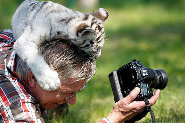 پشت صحنه عکس‌های حیوانات