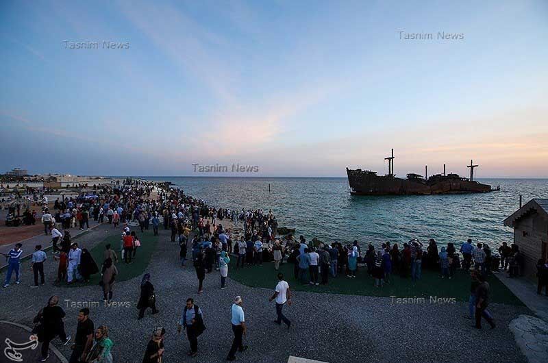 مهمان ناخوانده جزیره کیش/تصاویر